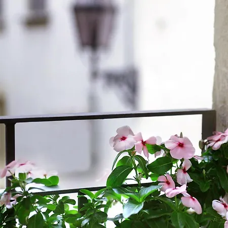 Oda ve Kahvaltı Residenza San Faustino